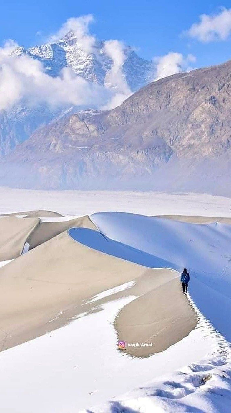 Snow & Cold Desert