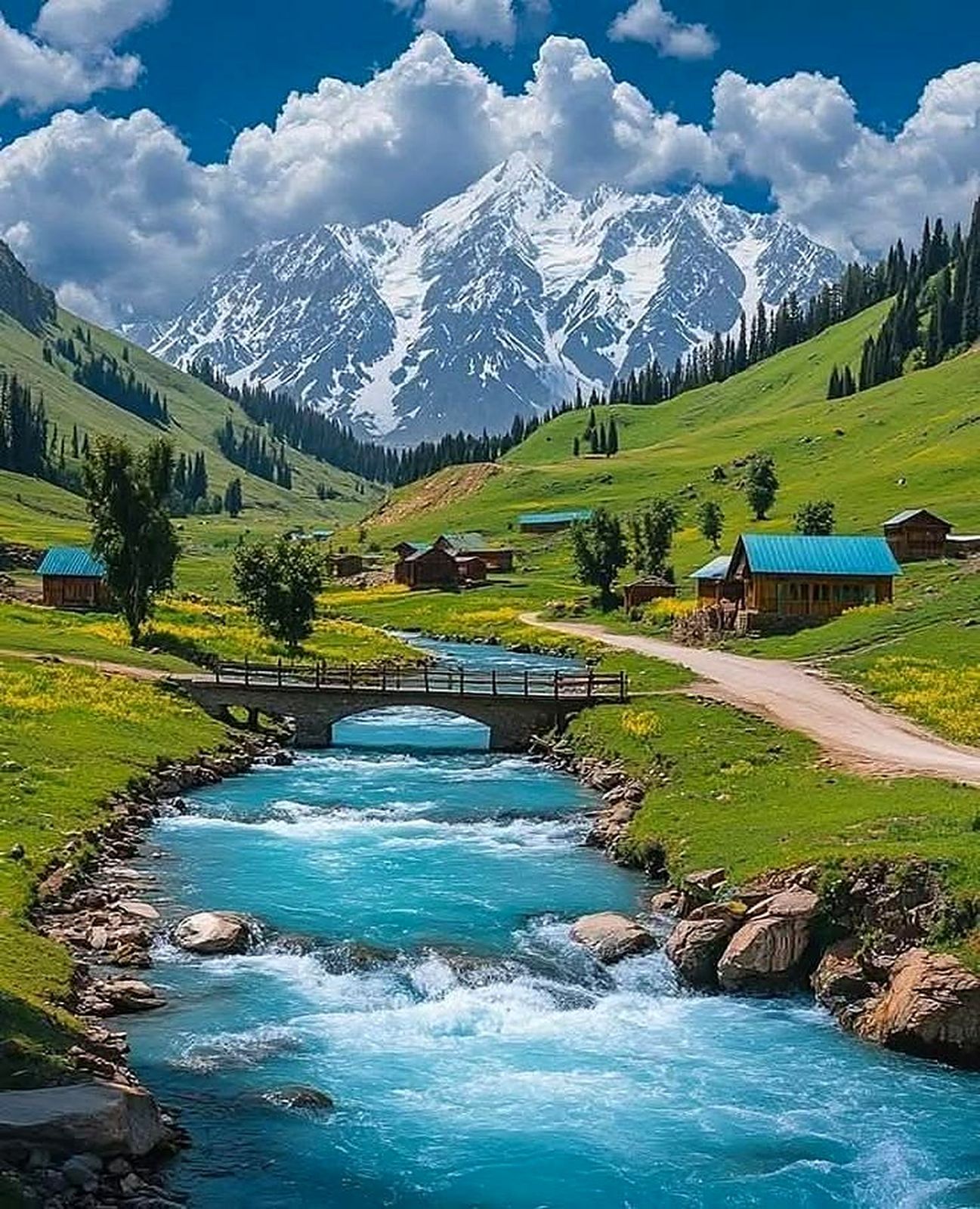6 Days Tour Hunza, Naltar & Khunjerab gallery 1
