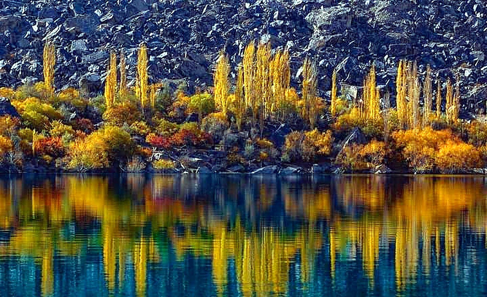 Golden autumn trees reflected in a Skardu lake