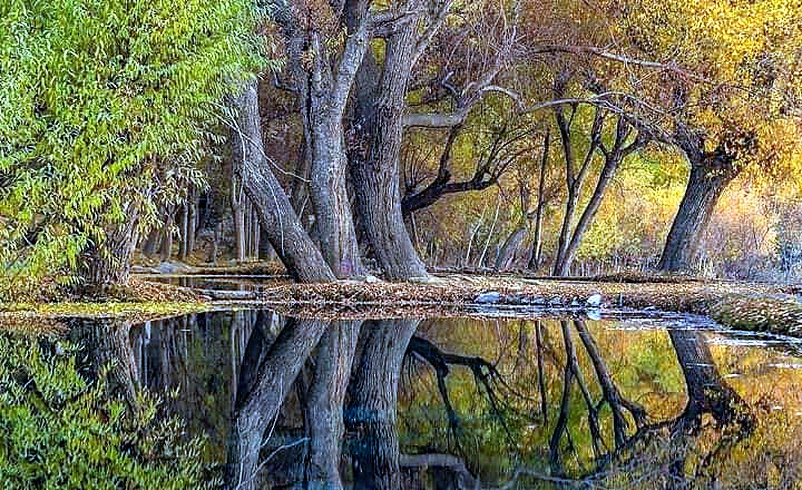 Autumn trees reflected in a pond near Skardu