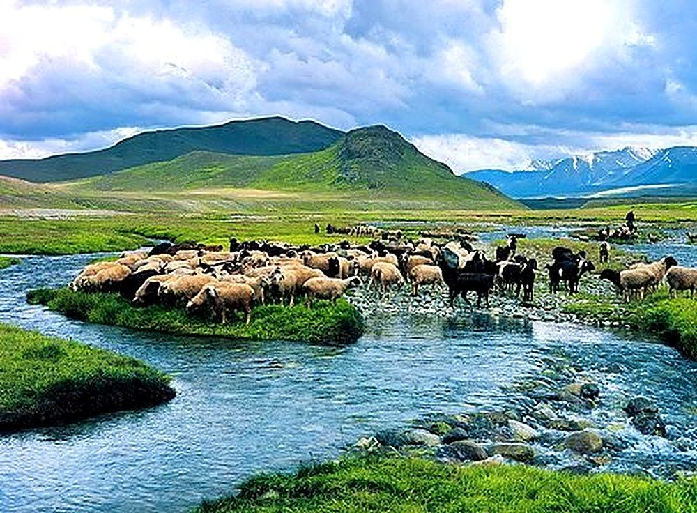 6 Days Tour Hunza, Naltar & Khunjerab gallery 3